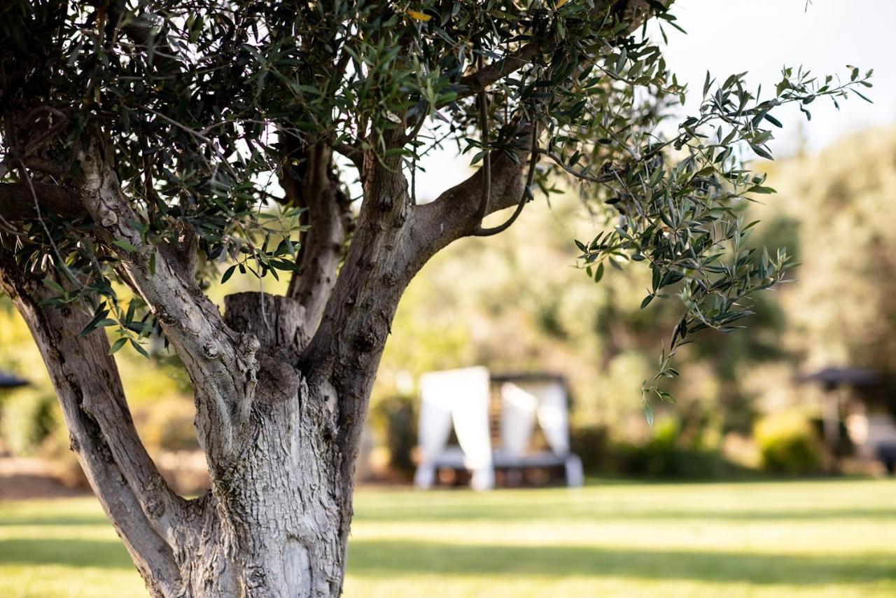Vila Valverde Design Country Hotel Luz Exterior foto
